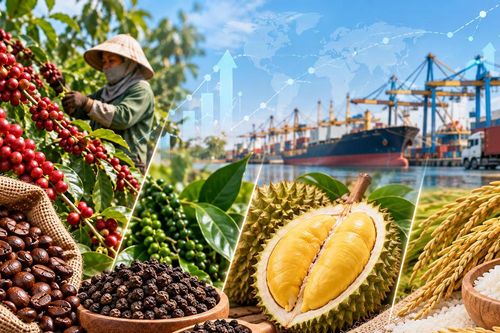 Sầu riêng tăng giá, cà phê hạ nhiệt sau 3 tuần biến động