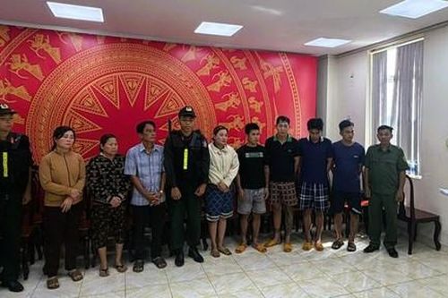 Triệt phá đường dây thu mua 400 tấn heo chết, nhiễm dịch bệnh bán ra thị trường và làm giò chả