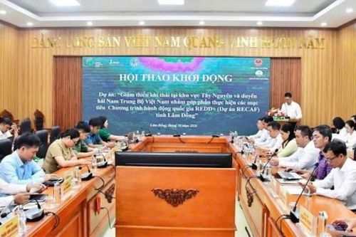 Lâm Đồng: Khởi động Dự án RECAF tại khu vực Đắk Nông cũ