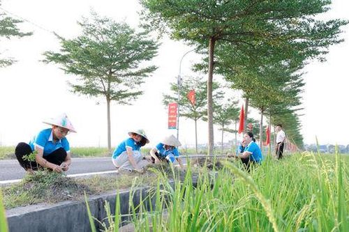 Kiến tạo không gian sống xanh, sạch, đẹp ở xã Thư Lâm