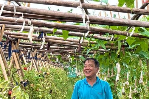 FAO: Đổi mới nông nghiệp phải gắn với hiệu quả kinh tế