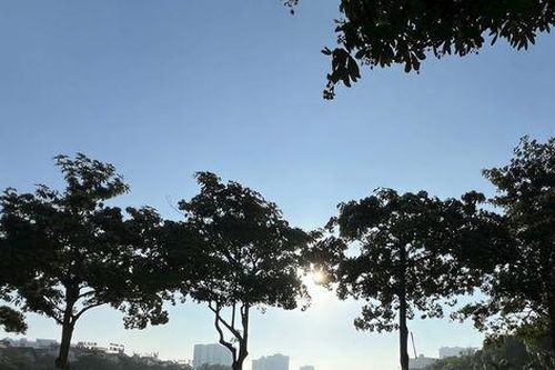 Nói gì dưới mùa hoa sữa?