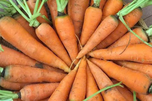 6 nhóm thực phẩm tăng sức đề kháng, phòng bệnh cúm A
