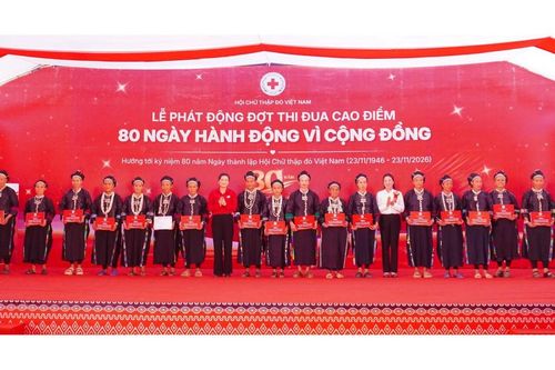 Biểu tượng Chữ thập đỏ ra đời từ đâu và vì sao có ý nghĩa đặc biệt?