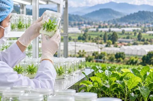Khoa học công nghệ: Chìa khóa nâng giá trị dược liệu quý