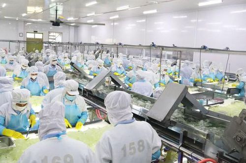 Công ty Cổ phần Thực phẩm G.C bị phạt 425 triệu đồng