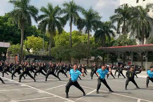 Xem màn trình diễn Mai Hoa Quyền xuất sắc của 100 Cảnh sát cơ động Hà Nội