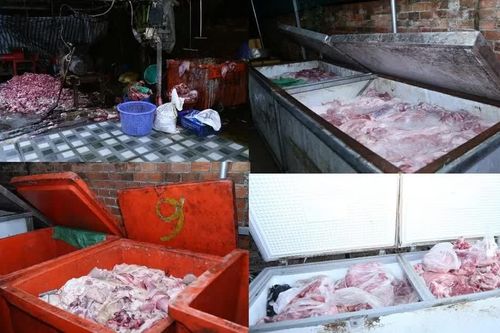 Phát hiện 5 cơ sở chuyên tiêu thụ lợn bệnh cho các cửa hàng sản xuất giò chả | ATV ngày 22/10/2026