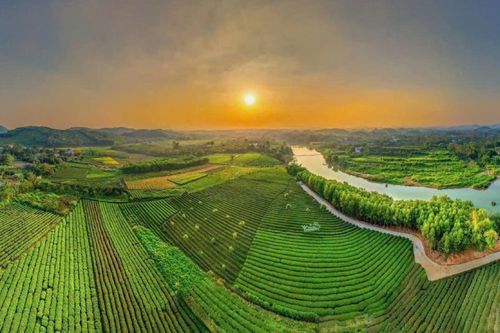 Thái Nguyên: Sẵn sàng đánh thức hương trà, kết nối di sản và du lịch