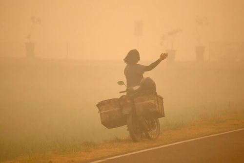 Cháy rừng tiếp tục hoành hành tại Indonesia