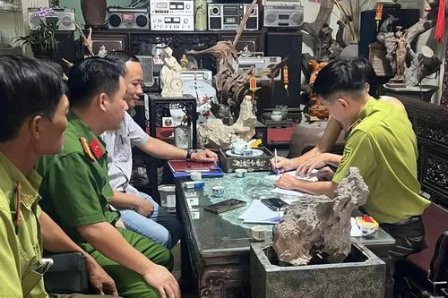 Ninh Bình ra quân xử lý các hành vi săn bắt, kinh doanh chim di cư, hoang dã