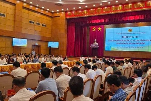 Đổi mới phương thức điều hành, khơi thông nguồn lực doanh nghiệp