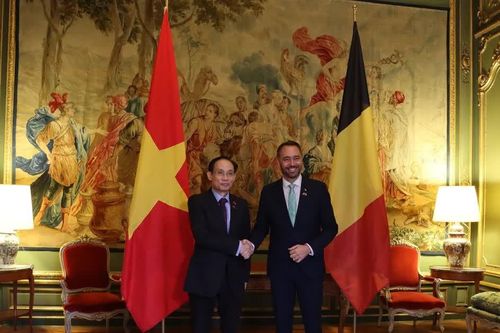 [Ảnh] Bộ trưởng Ngoại giao Lê Hoài Trung gặp Phó Thủ tướng, Bộ trưởng Ngoại giao Bỉ