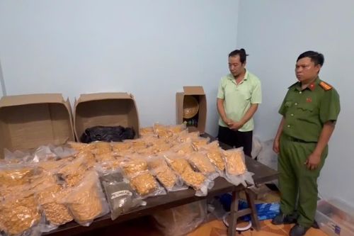 Triệt phá đường dây ma túy liên tỉnh, thu giữ hơn 176kg cần sa