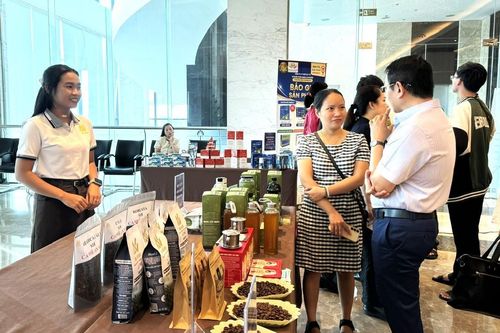 Hội thảo về thúc đẩy thương mại điện tử và thanh toán số