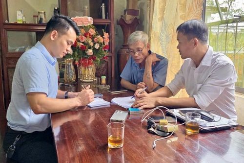 Bất thường việc thanh lý hơn 90 ha rừng thông gần 40 năm tuổi ở Quảng Trị