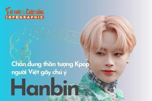 [INFOGRAPHIC] Chân dung thần tượng Kpop người Việt gây chú ý