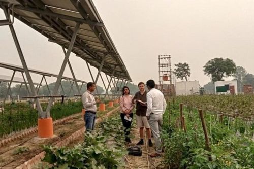 Ấn Độ xây dựng chính sách kết hợp phát triển điện Mặt trời với nông nghiệp