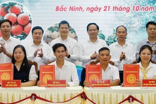 Lan tỏa hình ảnh và thương hiệu nông sản Bắc Ninh