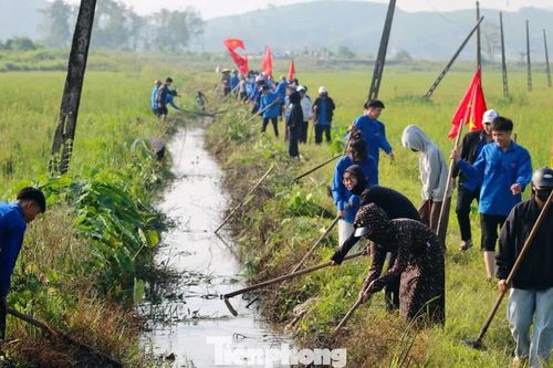 Sắc xanh lan tỏa tình nguyện trên những công trình thủy lợi