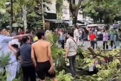 Cây phượng bật gốc đè tử vong người đàn ông dừng xe trên vỉa hè ở TPHCM