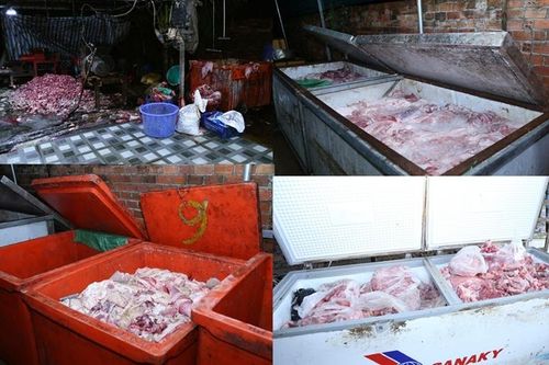 Triệt phá đường dây tiêu thụ khoảng 400 tấn heo bệnh, heo chết, phê chuẩn khởi tố 9 bị can