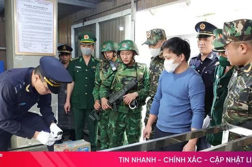 Hải quan khu vực XI xây dựng 'lá chắn' nghiệp vụ phòng, chống ma túy