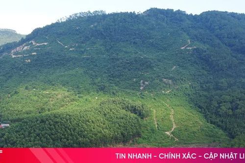 Mục sở thị điểm quy hoạch dự án bãi chế biến khoáng sản hơn 1,3 triệu m³/năm