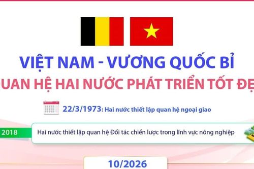 Quan hệ Việt Nam-Vương quốc Bỉ phát triển tốt đẹp