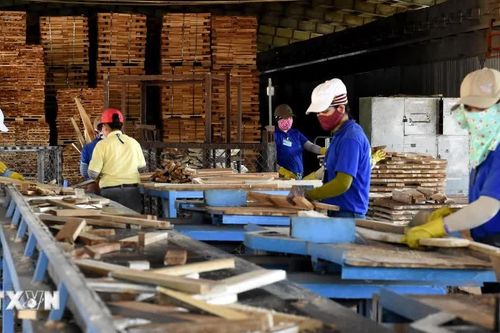 Hướng tới mục tiêu giá trị xuất khẩu lâm sản đạt trên 20 tỷ USD vào năm 2030