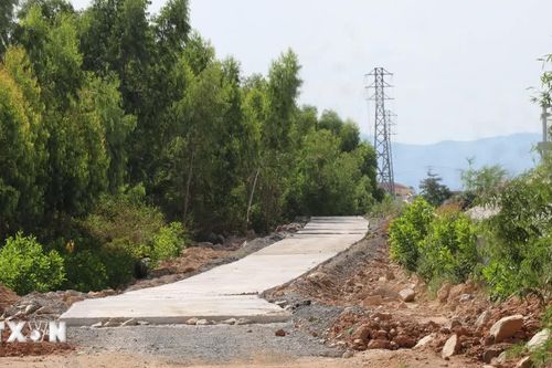 Đắk Lắk khắc phục bất cập về giao thông, sản xuất xung quanh cao tốc