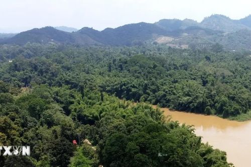 Điều chỉnh địa giới Vườn Quốc gia Cát Tiên: Không mở rộng ngoài phạm vi