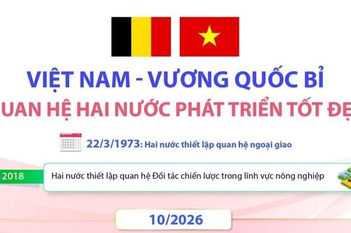 Quan hệ Việt Nam - Vương quốc Bỉ phát triển tốt đẹp