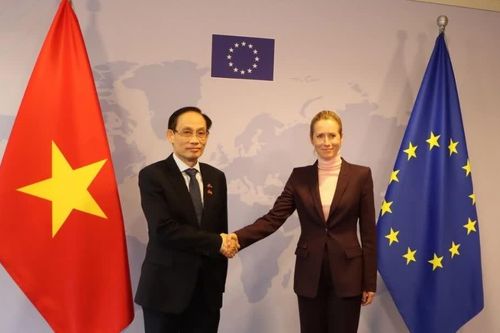 Bộ trưởng Ngoại giao Lê Hoài Trung gặp Đại diện cấp cao EU về chính sách đối ngoại và an ninh