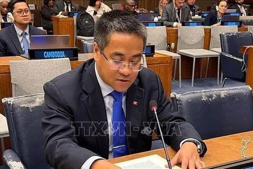 Việt Nam phát biểu tại Ủy ban 4 về tác động của bức xạ nguyên tử