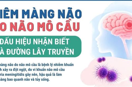 Viêm màng não do não mô cầu: Dấu hiệu nhận biết và đường lây truyền