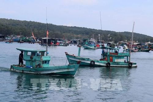 An Giang: Mở chiến dịch cao điểm phòng, chống khai thác IUU