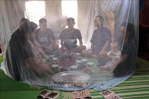 Tuyên Quang: Bãi rác quá tải, người dân vẫn phải chờ quy hoạch