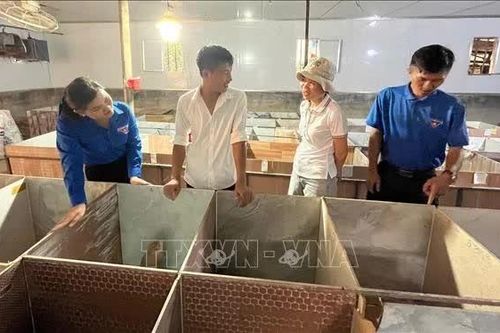 Đồng hành, hỗ trợ thanh niên Đồng Nai khởi nghiệp