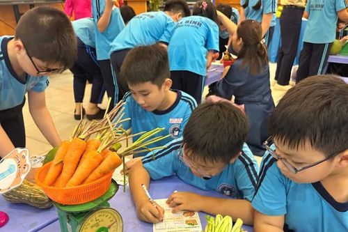 Dạy môn học bằng tiếng Anh: Không chỉ giỏi ngoại ngữ mà còn phải vững chuyên môn