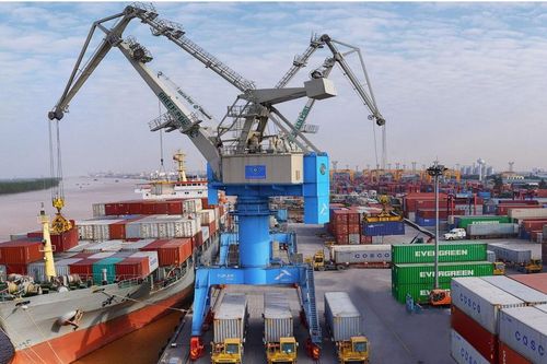 Viconship sắp phát hành gần 206 triệu cổ phiếu, đưa vốn điều lệ tăng gần gấp rưỡi