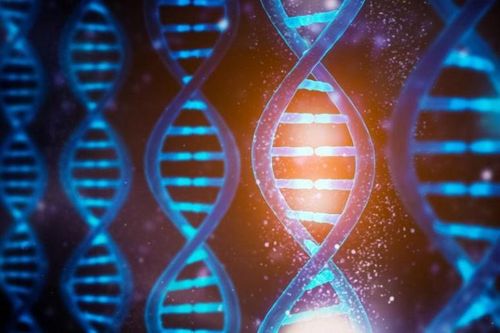 Các nhà khoa học có thể đã giải mã bí ẩn tỷ năm về sự tiến hóa của DNA