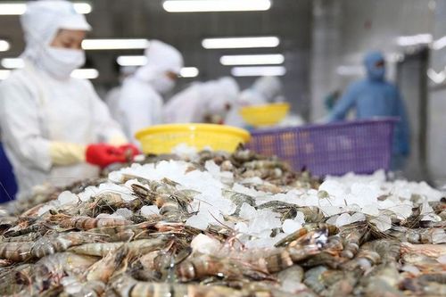Thực phẩm Sao Ta vượt mục tiêu lợi nhuận năm 2026 sau 9 tháng