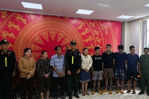 TP Đồng Nai triệt phá đường dây tiêu thụ 400 tấn heo bệnh, heo chết