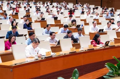 Đề xuất bỏ quy hoạch sử dụng đất, mỗi thửa đất có mã định danh riêng