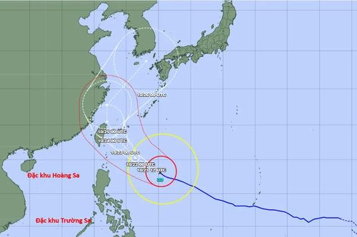 Hoàn lưu siêu bão Champi gây gió mạnh, sóng lớn trên Biển Đông