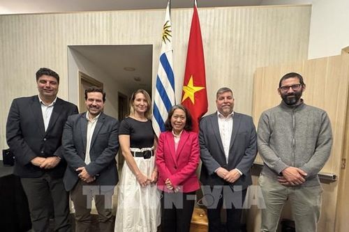Việt Nam thúc đẩy hợp tác toàn diện với Uruguay
