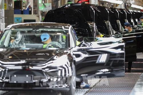 Tesla báo cáo lợi nhuận quý III/2026 giảm 42,7%, gia tăng đầu tư vào công nghệ mới