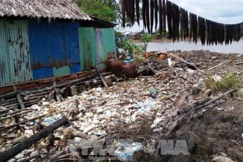 TP. Hồ Chí Minh bố trí điểm tập kết rác tạm khi nâng cấp 8 trạm trung chuyển