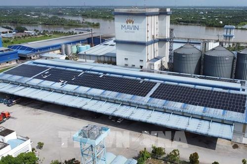 Doanh nghiệp Đồng Tháp xanh hóa sản xuất bằng điện mặt trời
